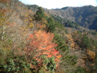 2006年11月15日、奈良県大台ケ原