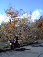 2006年11月15日、奈良県大台ケ原