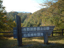 2007年10月31日、奈良県大台ケ原、紅葉
